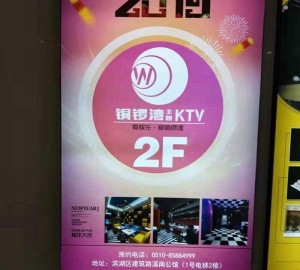 哈雷招聘文案（哈雷摩托诚邀英才加入：共创非凡之旅）