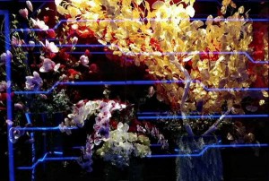 杭州KTV酒水团购狂欢节，尽享娱乐优惠盛宴