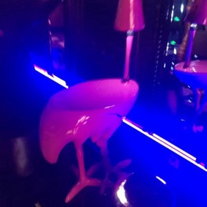 杭州萧山区围垦区附近酒吧招聘现场DJ,招聘信息真实吗？