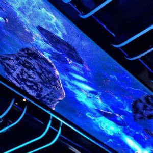 积极文案招聘（诚邀创意人才，共筑积极团队氛围）