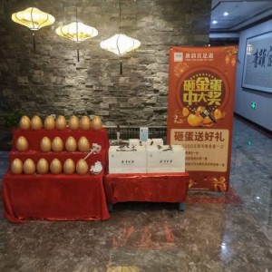 杭州女生求职现状：互联网等行业机遇与挑战