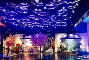 医院招聘护士文案（招募医疗护理人才：加入我们的医院团队）