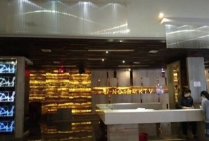 led招聘文案（LED领域人才招募启事）