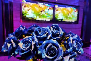 杭州线下求职：聚焦互联网行业新机遇