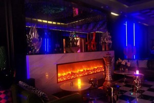 司机送货招聘文案（招募中：高效配送员，携手共赴物流之旅）