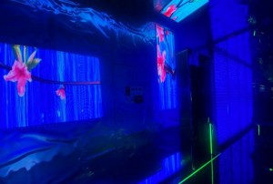 杭州临安区板桥镇附近夜总会招聘包厢管家,领班直聘的