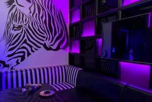 校园门卫招聘文案（校园安全守护者招募启事）