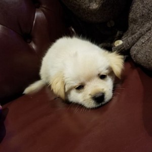 杭州四七纹眉行业：求职新机遇与技能发展